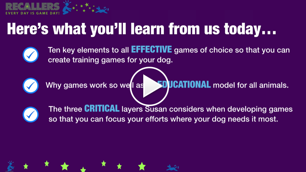 Webinar Replay Sign Up – Say Yes Dog Training